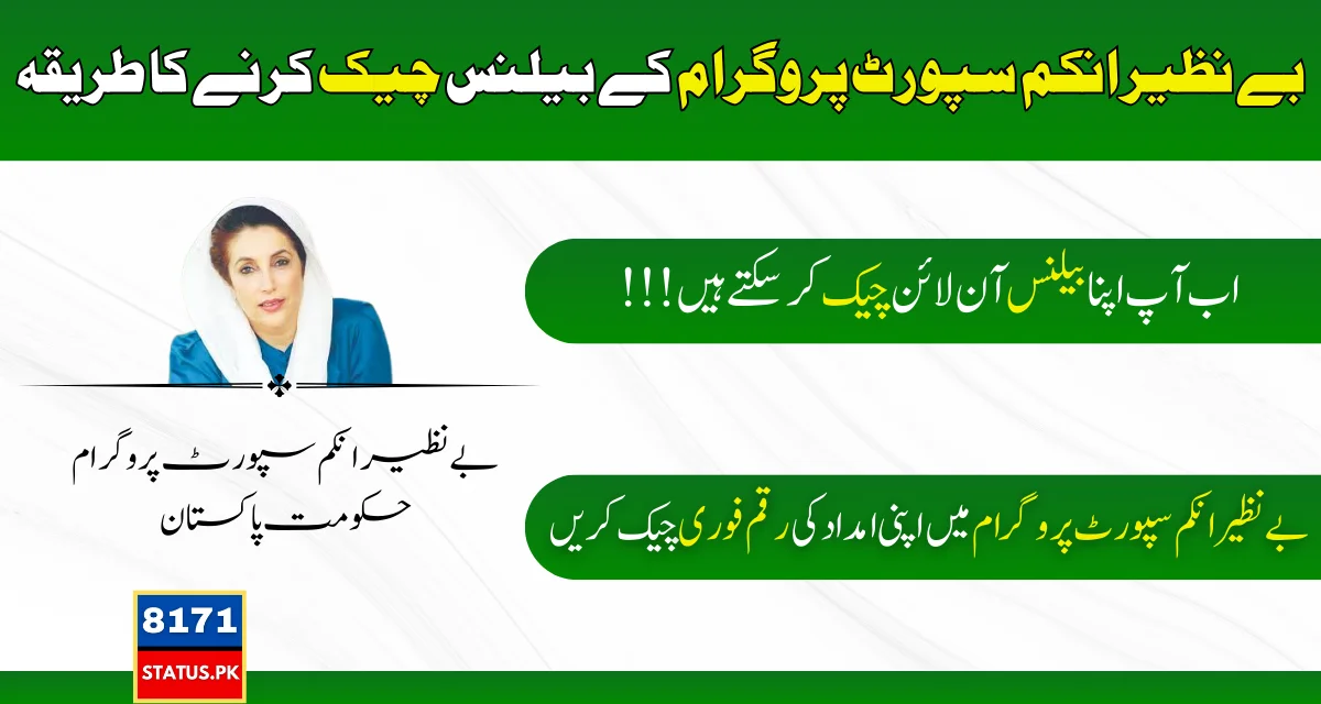 Benazir Income Support Program Complete Detail To Check Your Account